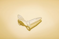 Eppendorf Safe-Lock Tubes BioBased Microtube 0.5 mL, PCR Clean:Tubes, Quantity: